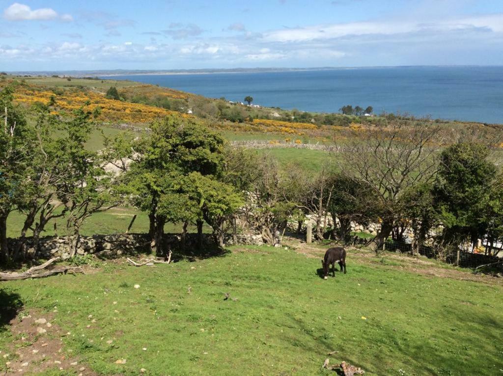 Stunning Views At Ballagh Cottage Newcastle Ньюкасл Экстерьер фото